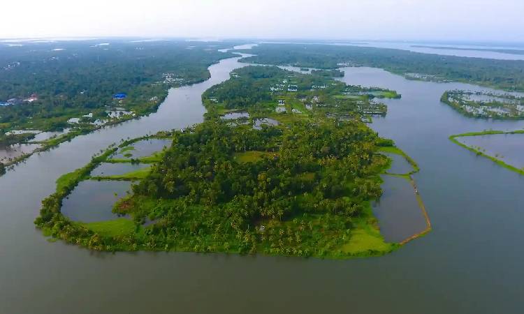 A lake's faint murmur: Vembanad and Kuttanad ring alarm bells for India's fragile ecologies  