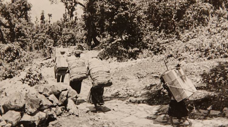 Plains, Hills and Mountains