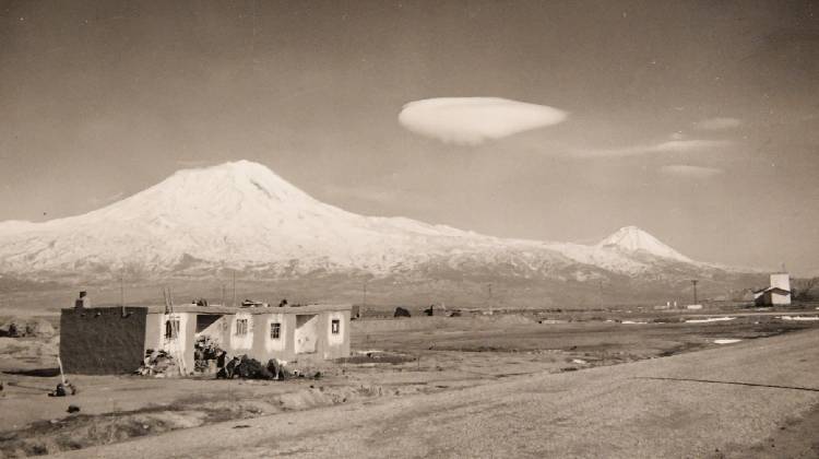 India in Denmark: The Cultural Musings